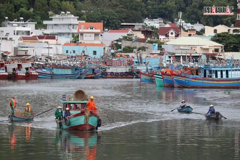 Một góc dòng kênh Bến Đình đoạn qua phường 5, TP Vũng Tàu-Ảnh:TK Một góc dòng kênh Bến Đình đoạn qua phường 5, TP Vũng Tàu-Ảnh:TK