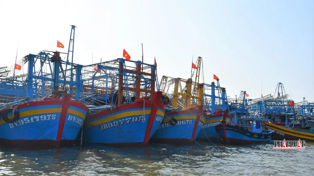 Tàu cá neo đậu tại cảng cá Bến Lội- Bình Châu, huyện Xuyên Mộc, Bà Rịa- Vũng Tàu-Ảnh:TK