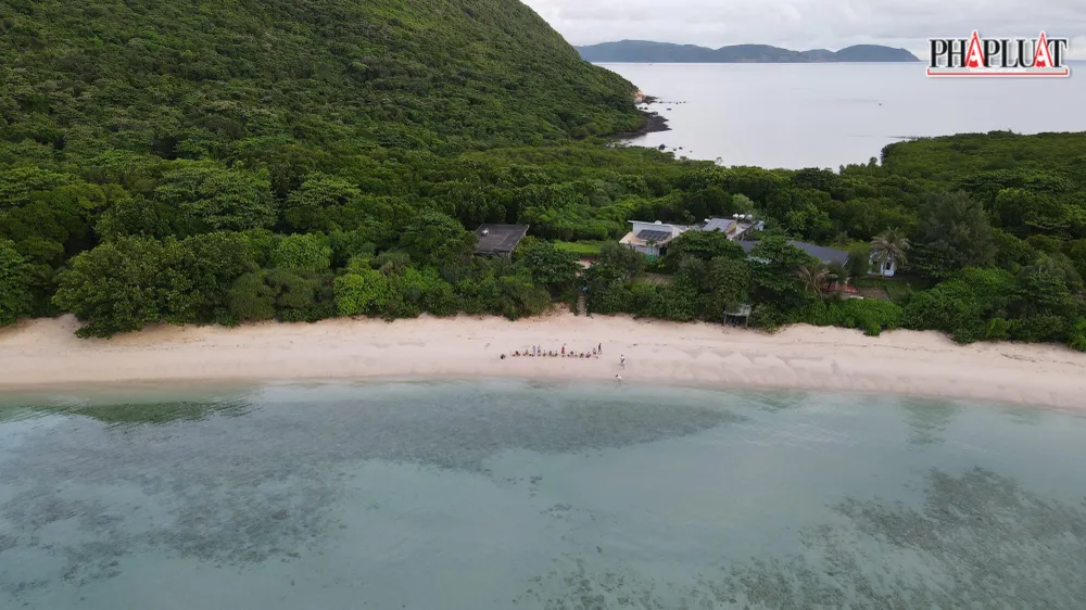 Thả rùa biển về biển là một trong những trải nghiệm du khách tham gia khi đến Côn Đảo-Ảnh:HS Thả rùa biển về biển là một trong những trải nghiệm du khách tham gia khi đến Côn Đảo-Ảnh:HS