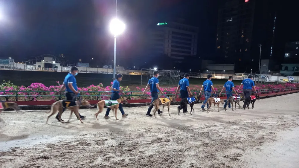 Hoạt động đua chó tại SVĐ Lam Sơn, TP Vũng Tàu. Ảnh:DN Hoạt động đua chó tại SVĐ Lam Sơn, TP Vũng Tàu. Ảnh:DN