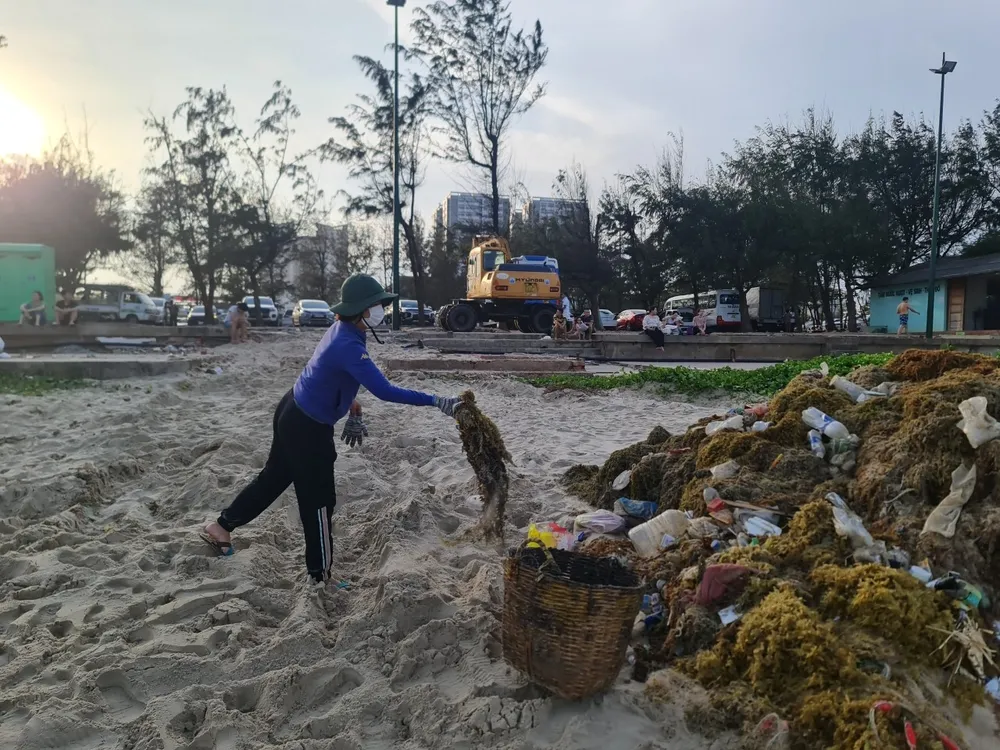 Dọn rác Bãi Sau chiều 30-4. Ảnh: TPVT
