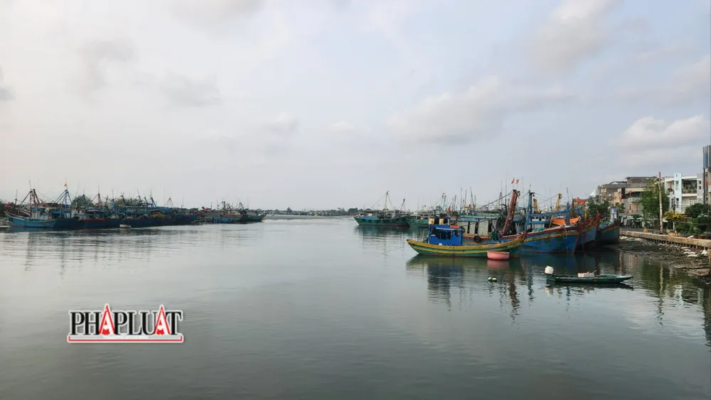 Kiểm tra chặt chẽ các bến ngang, tự phát để đảm bảo, kiểm soát, truy xuất nguồn gốc thủy sản khai thác. Ảnh minh họa: TK Cang ca Tan Phuoc xa Phuoc Tinh huyen Long Dien h2.jpg