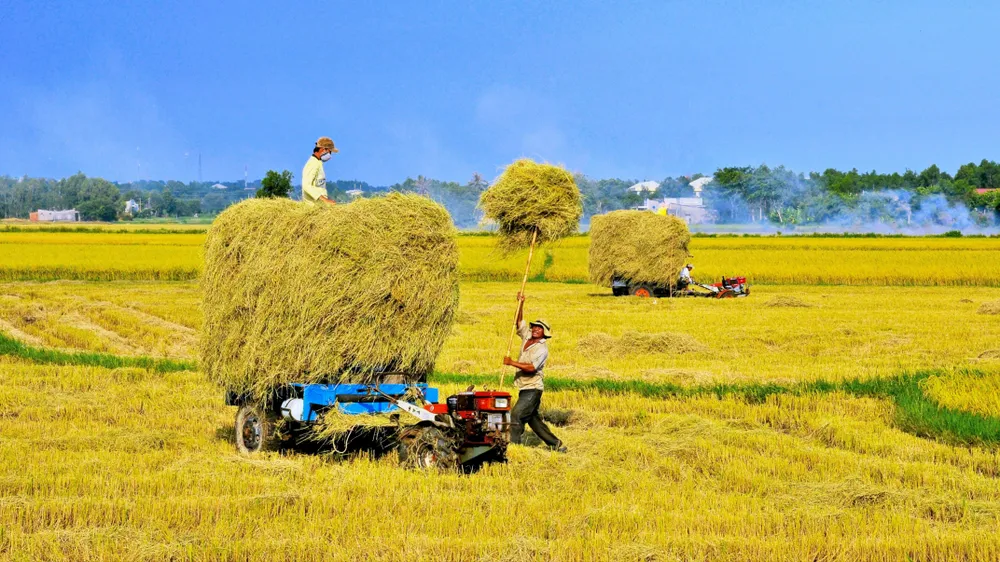 Huyện Long Điền: Nơi hội tụ nhiều tiềm năng, lợi thế để phát triển kinh tế biển, du lịch, công nông nghiệp