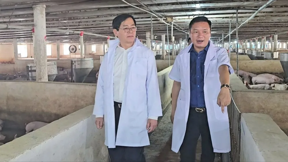 Bí thư Bà Rịa- Vũng Tàu (bên trái ảnh) tham quan mô hình sản xuất nông nghiệp công nghệ cao của Công ty TNHH Trang Linh. Ảnh: NT Bi-thu-Ba-Ria-Vung-Tau-h2.jpg