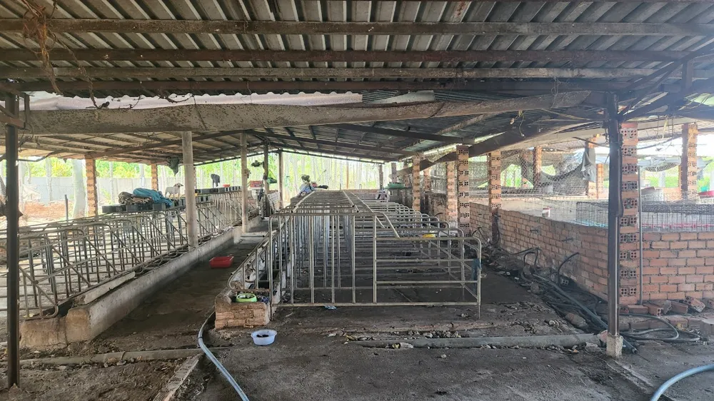 Trạm cứu hộ chó mèo do bà H quản lý vốn là chuồng heo cũ của chủ nhà, có một thanh niên trực tiếp ở lại trông nom. Ảnh: TK Cận cảnh trạm cứu hộ chó mèo được đánh giá lớn, có tâm lâu nay nhưng ai đến cũng phát hoảng