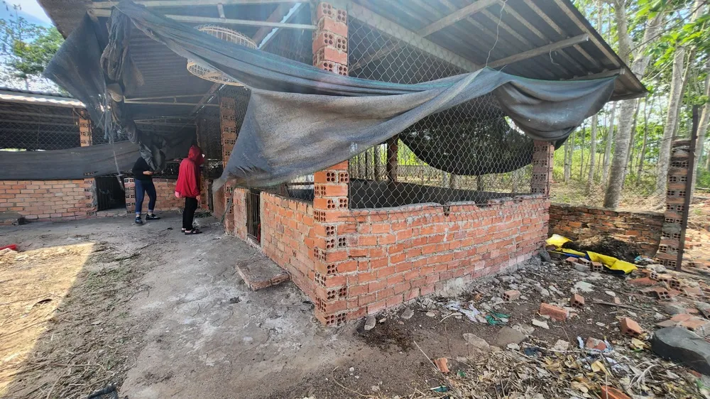 Xác các con chó, mèo bị chết trong 3 năm qua được thanh niên trông nom cho hay lần lượt chôn ở vườn cao su phía sau chuồng. Ảnh: TK tram-cuu-ho-cho-meo-h3.jpg