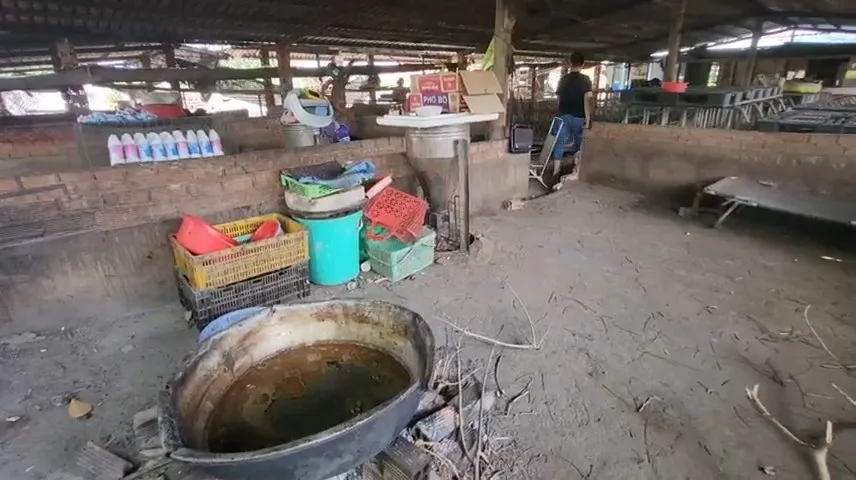 Nơi ngủ của người trông nom gần chỗ nấu thức ăn cho chó mèo, xung quanh và bên trong nhà rất nhiều ve chó. Ảnh: TK tram-cuu-ho-cho-meo-h7.jpg