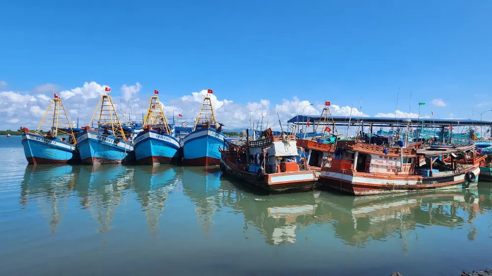 Ban chỉ đạo về IUU Bà Rịa- Vũng Tàu thành lập tổ xác minh, xử lý các tàu cá vi phạm quy định về hệ thống giám sát hành trình. Ảnh minh họa: TK Bà Rịa- Vũng Tàu thành lập Tổ xác minh, xử lý tàu cá vi phạm quy định về hệ thống giám sát hành trình