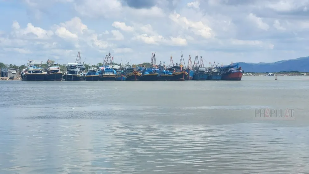 Các tàu cá vi phạm quy định về hệ thống giám sát hành trình khi bị phát hiện được đưa về neo đậu tại cảng Hưng Thái để chờ điều tra, xử lý. Ảnh: TK Bà Rịa- Vũng Tàu nêu tiến độ xử lý 4 vụ án vi phạm về hệ thống giám sát hành trình tàu cá