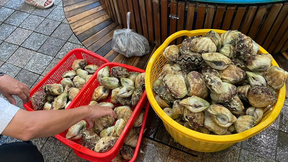 Cơ quan chức năng huyện Côn Đảo phạt hành chính và tịch thu số ốc quý hiếm mà cửa hàng lưu giữ. Ảnh: CTV Một hộ kinh doanh hải sản ở Côn Đảo bị phạt 65 triệu đồng vì bày bán gần 90kg ốc quý hiếm