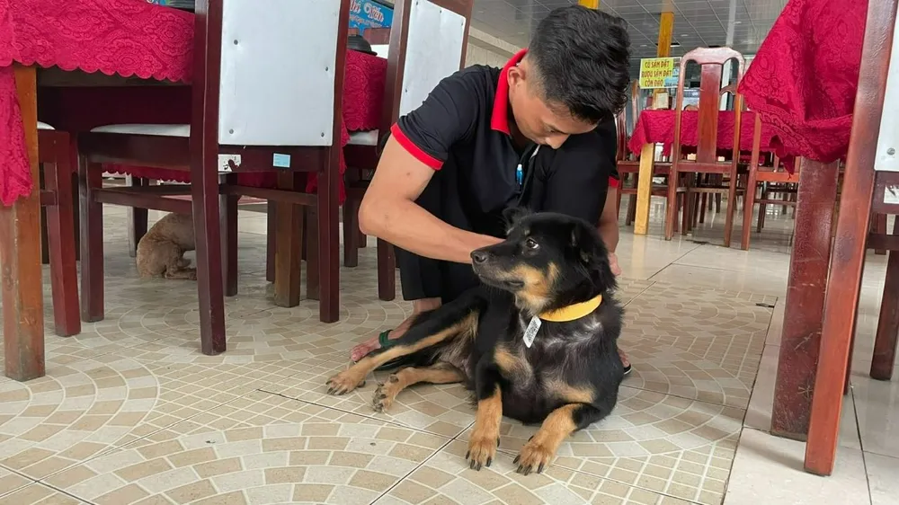 Việc đeo thẻ có mã QR cho chó được triển khai tại 9 khu dân cư trên địa bàn huyện Côn Đảo. Ảnh: CĐ Côn Đảo: Đeo thẻ có mã QR cho chó để quản lý