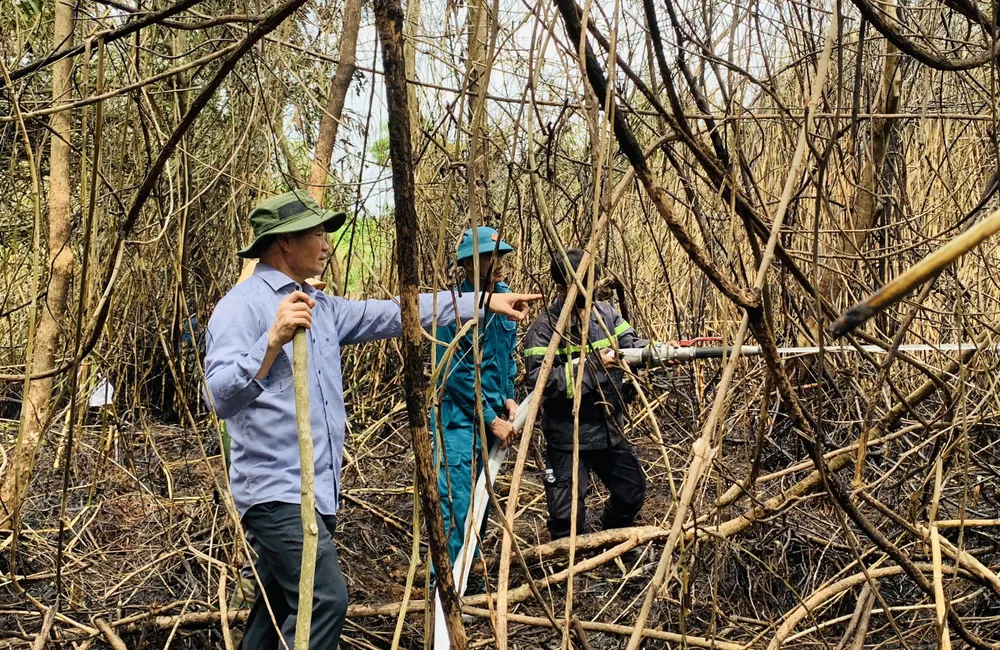 Bà Rịa - Vũng Tàu: Hơn 200 người tham gia dập tắt đám cháy rừng tại di tích lịch sử Bàu Sen