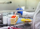 Các nước châu Á cố gắng vì một cái Tết vừa an toàn vừa sạch dịch ảnh 2 Giới khoa học nói về biến thể phụ của Omicron mới xuất hiện
