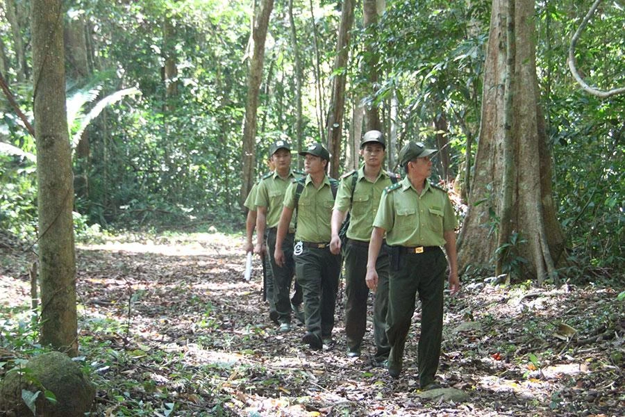 Kiểm lâm tuần tra trong khu rừng của Khu bảo tồn thiên nhiên - văn hóa Đồng Nai. Ảnh: VŨ HỘI