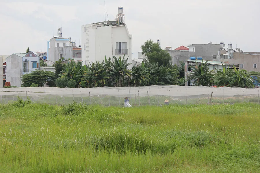 Theo Bộ Tư pháp, tách thửa là quyền của người sử dụng đất khi áp dụng đầy đủ các điều kiện và được thực hiện theo trình tự, thủ tục do pháp luật quy định. Ảnh: HOÀNG GIANG