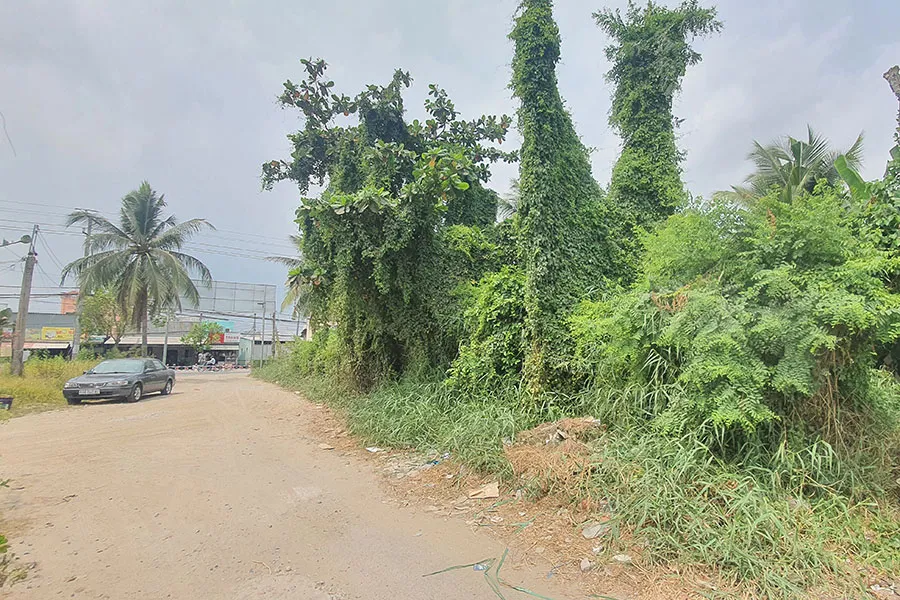 Phần đất tranh chấp. Ảnh: TRẦN VŨ