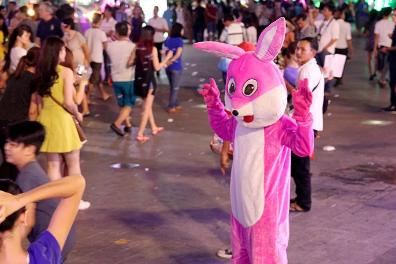 Tôi đã thấy thỏ hồng, vịt vàng, khỉ nâu trên phố Nguyễn Huệ ảnh 6 Tôi đã thấy thỏ hồng, vịt vàng, khỉ nâu trên phố Nguyễn Huệ ảnh 6