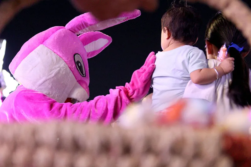 Tôi đã thấy thỏ hồng, vịt vàng, khỉ nâu trên phố Nguyễn Huệ ảnh 4 Tôi đã thấy thỏ hồng, vịt vàng, khỉ nâu trên phố Nguyễn Huệ ảnh 4