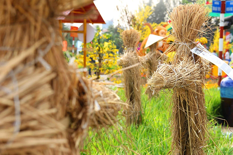 Ngắm cảnh làng quê Việt Nam ở khu nhà giàu ảnh 14