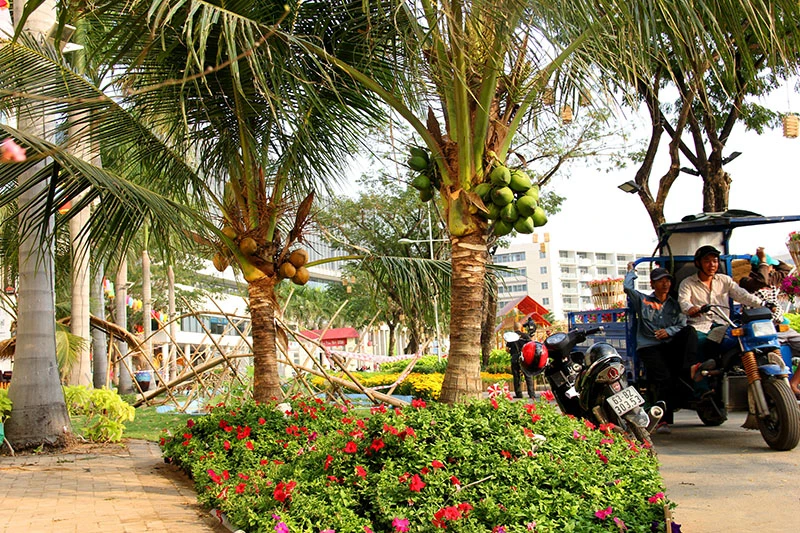 Ngắm cảnh làng quê Việt Nam ở khu nhà giàu ảnh 11