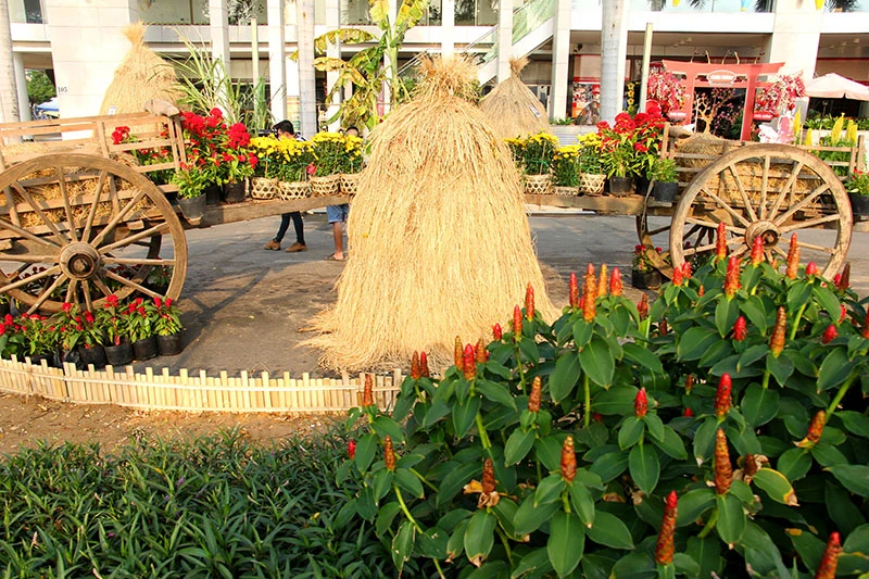 Ngắm cảnh làng quê Việt Nam ở khu nhà giàu ảnh 13