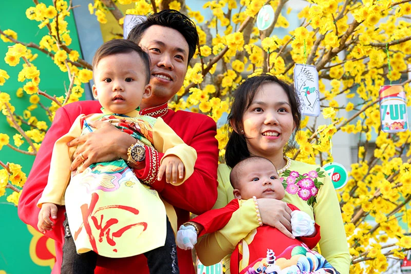 Ngắm cảnh làng quê Việt Nam ở khu nhà giàu ảnh 19