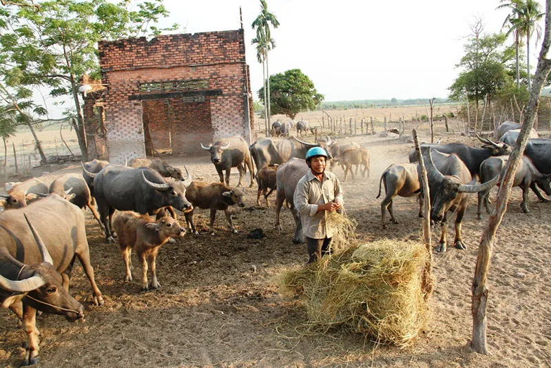 Bí thư Thăng: 'Các ông thử chui vào nhà dân xem có ở được không?' ảnh 3