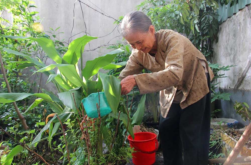 Vợ chồng giáo viên hơn 20 năm dạy miễn phí cho học sinh nghèo ảnh 8