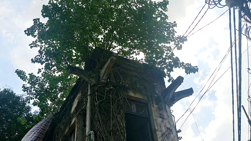 Đang đập bỏ ngôi biệt thự cổ số 5 Lê Công Kiều ảnh 2