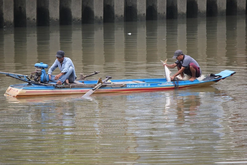 Ngang nhiên chài lưới bắt cá trên kênh Nhiêu Lộc ảnh 4