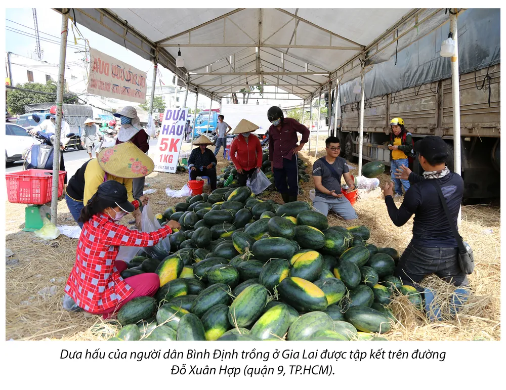 Tình người Sài Gòn thời dịch COVID-19 ảnh 11