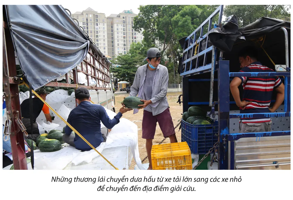 Tình người Sài Gòn thời dịch COVID-19 ảnh 12