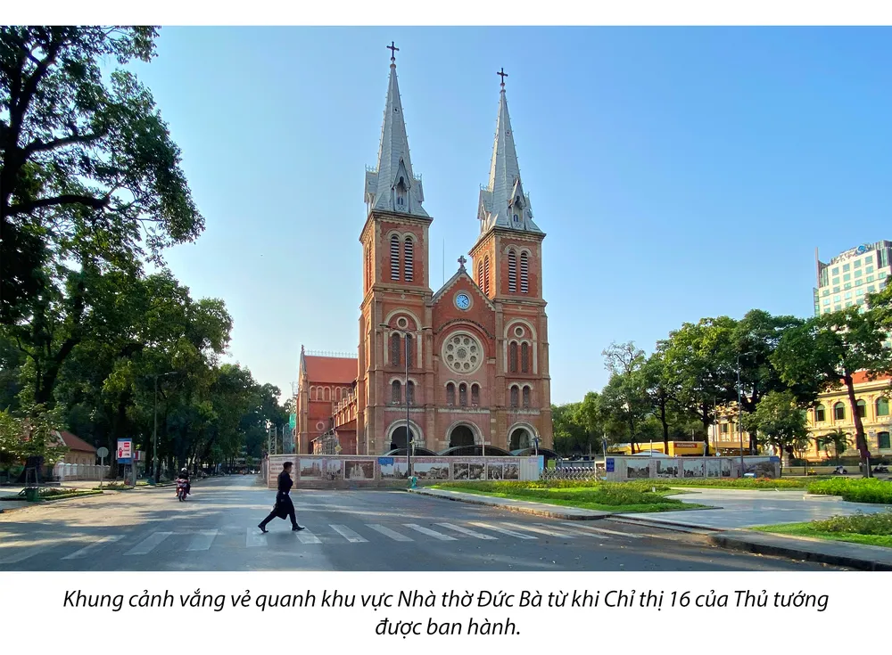 5 nỗ lực lớn của TP.HCM trong phòng, chống COVID-19 ảnh 7