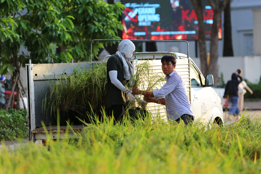 Ngoài đường Xuân với 3 chủ điểm trang trí Phú - Mỹ - Hưng, Hội hoa Xuân Phú Mỹ Hưng Tết Quý Mão còn có sân khấu được thiết kế hoành tráng, hiện đại, bám sát chủ đầu Xuân Phồn Vinh. Sân khấu sẽ là nơi diễn ra Lễ khai mạc tối 15-1 (tối 24 Tết) và các hoạt động văn hoá, nghệ thuật.