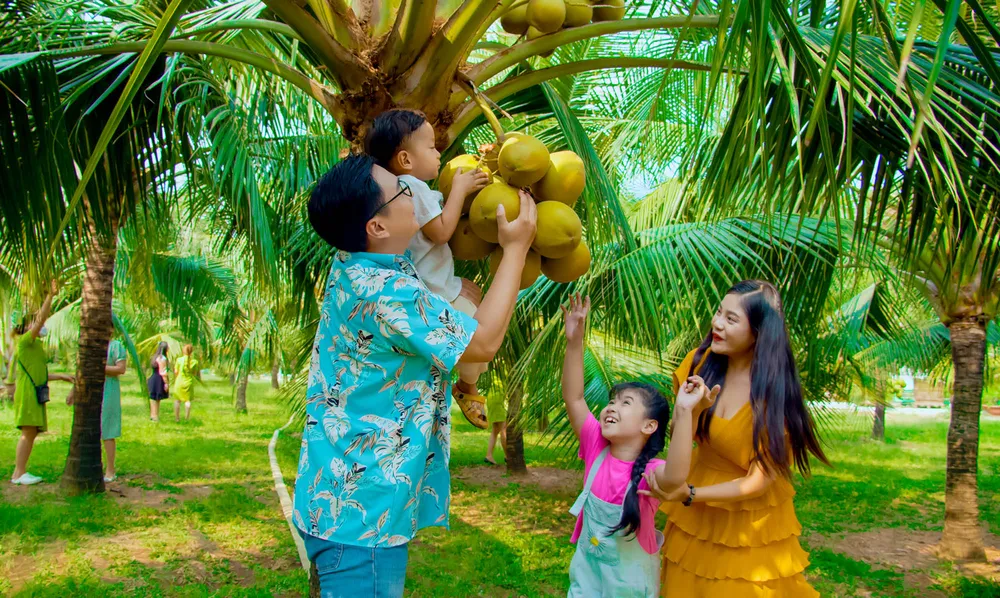 Là một phân khu của Suối Tiên Farm, Farm dừa gây ấn tượng cho du khách bởi không gian mới lạ mang đậm nét làng quê Việt Nam giữa lòng phố thị náo nhiệt. Một khung cảnh yên bình hiện lên với hình ảnh đàn trâu, xe bò kéo bên hàng dừa xanh sai trĩu quả, hòa cùng tiếng chim ríu rít và những ca khúc ngọt ngào, vui tươi từ chương trình âm nhạc Đờn ca tài tử Nam Bộ.