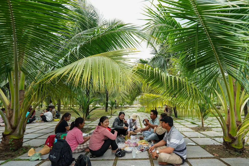 Một buổi cắm trại dành cho các gia đình tại khu vườn dừa.