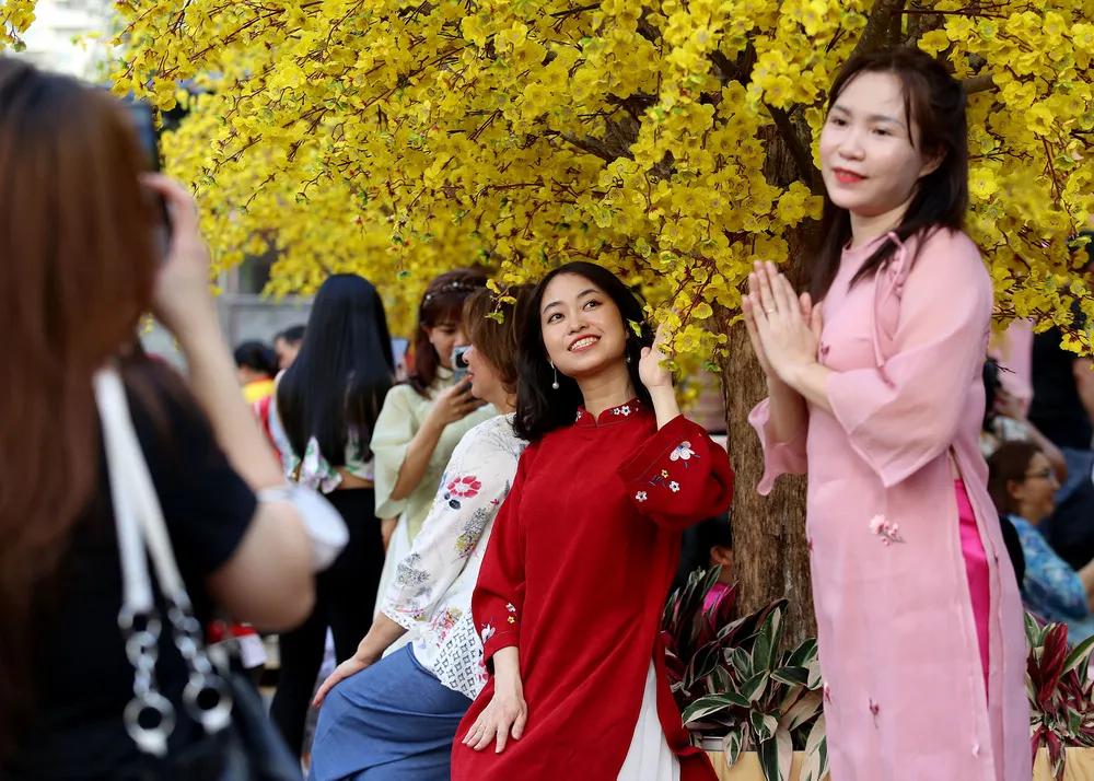 chen chân chụp ảnh mai vàng ở tphcm (4).JPG