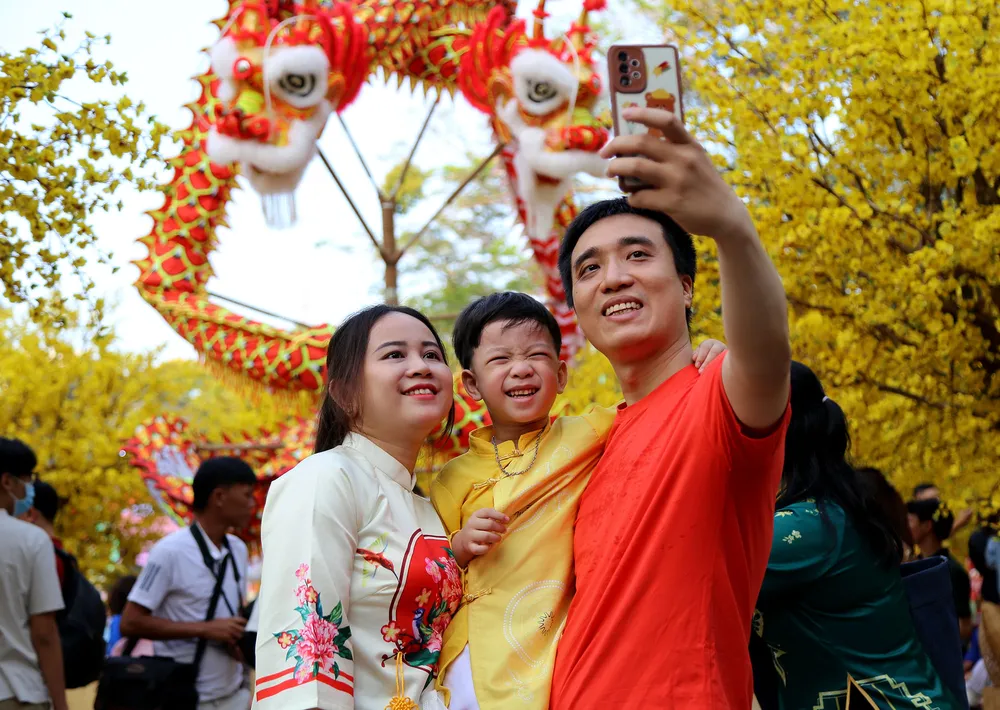 chen chân chụp ảnh mai vàng ở tphcm (6).JPG