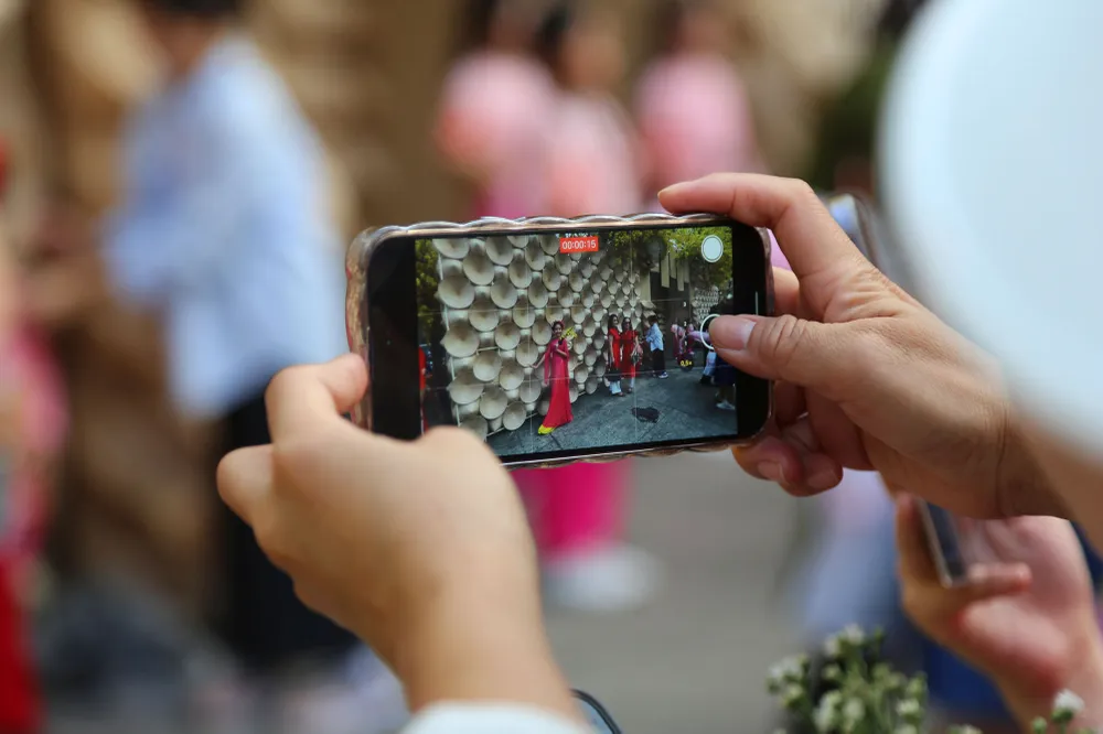 chen chân chụp ảnh mai vàng ở tphcm (8).JPG