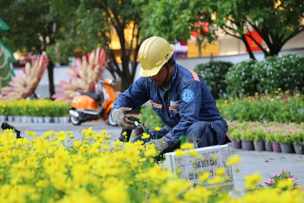lộ diện linh vật rồng khổng lồ đường hoa nguyễn huệ (15).JPG