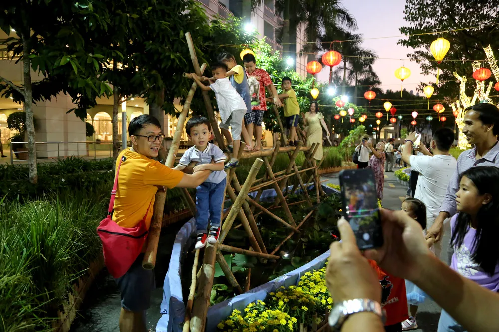 cận cảnh đường hoa phú mỹ hưng (8).JPG