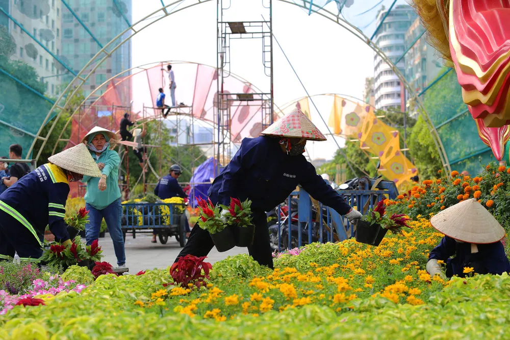 đường hoa nguyễn huệ trước ngày khai mạc (9).JPG