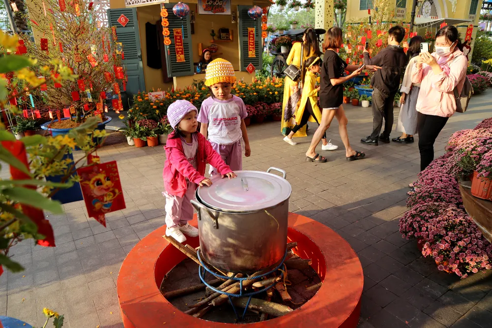 đường hoa xuân ba miền (12).JPG