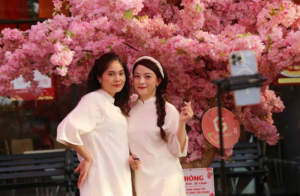 đường hoa xuân ba miền (13).JPG