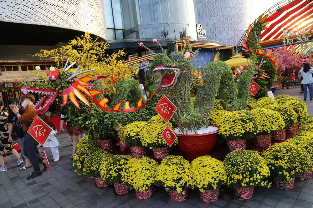 đường hoa xuân ba miền (2).JPG