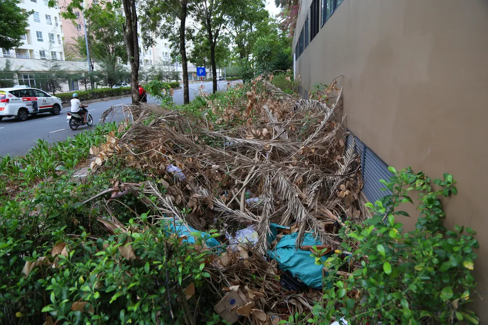 Cảnh hoang tàn của 3.790 căn hộ tái định cư ở Thủ Thiêm sắp được đấu giá cuối năm nay (16).JPG