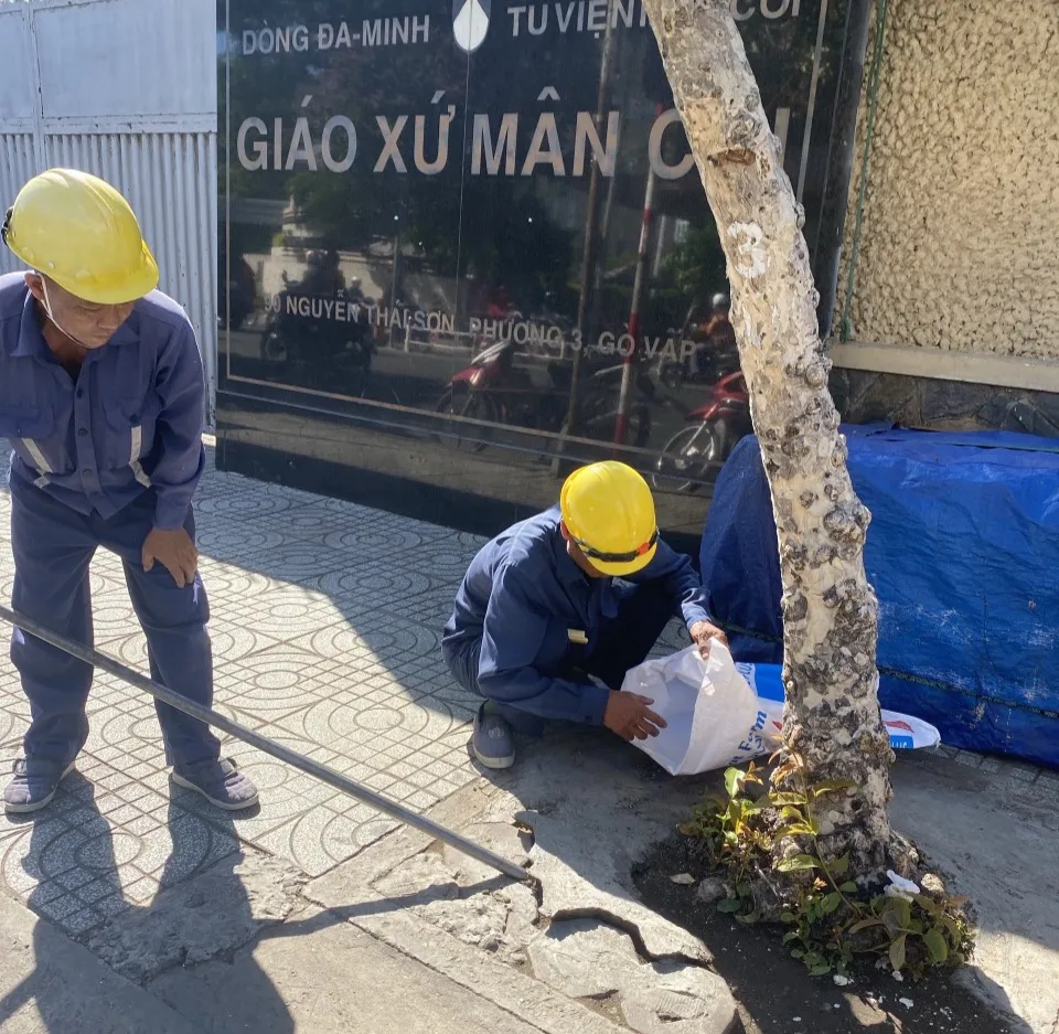 Hàng loạt cây xanh “thoi thóp”, chờ giải cứu ở TP.HCM (10).jpg