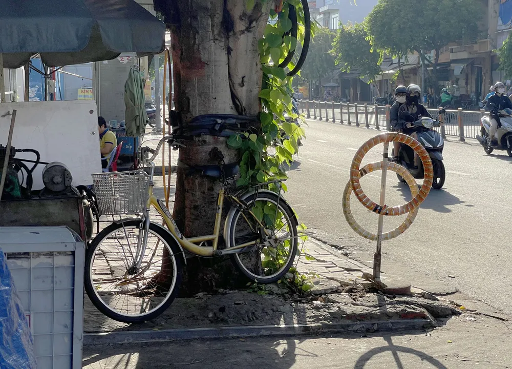 Hàng loạt cây xanh “thoi thóp”, chờ giải cứu ở TP.HCM (3).jpg