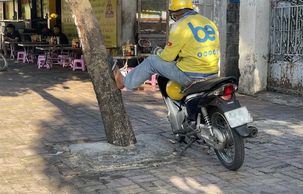 Hàng loạt cây xanh “thoi thóp”, chờ giải cứu ở TP.HCM (4).jpg