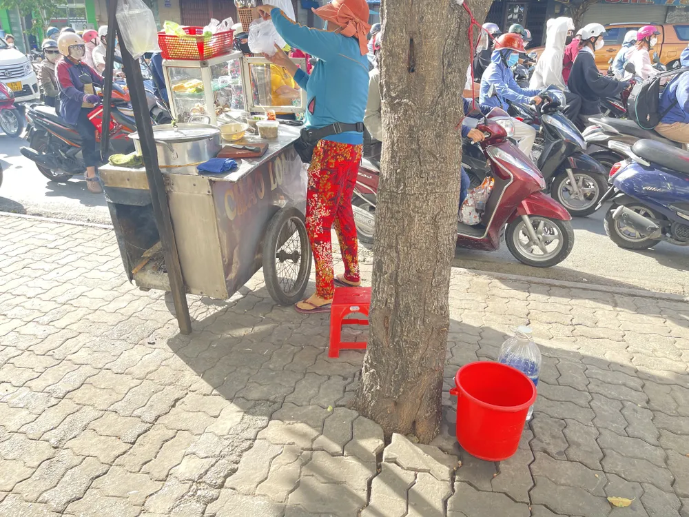 Hàng loạt cây xanh “thoi thóp”, chờ giải cứu ở TP.HCM (5).jpg